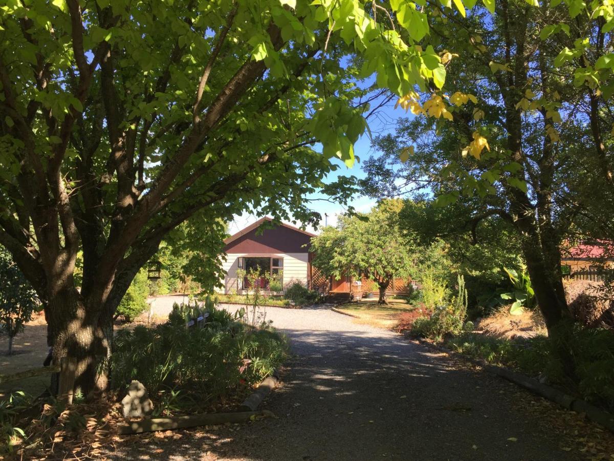 Chris'S Cabin Грейтаун Экстерьер фото